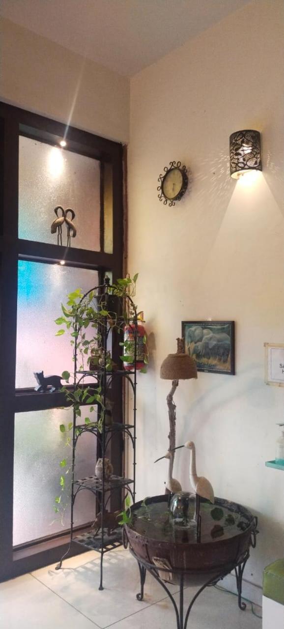 Rangbaari Stays & Cafe จ๊อดปูร์ ภายนอก รูปภาพ